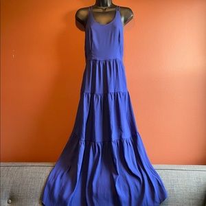 Ann Taylor LOFT Blue Maxi Dress (Size 4P)